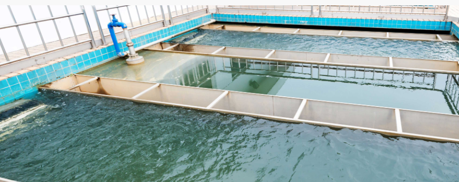 Wastewater Recovery