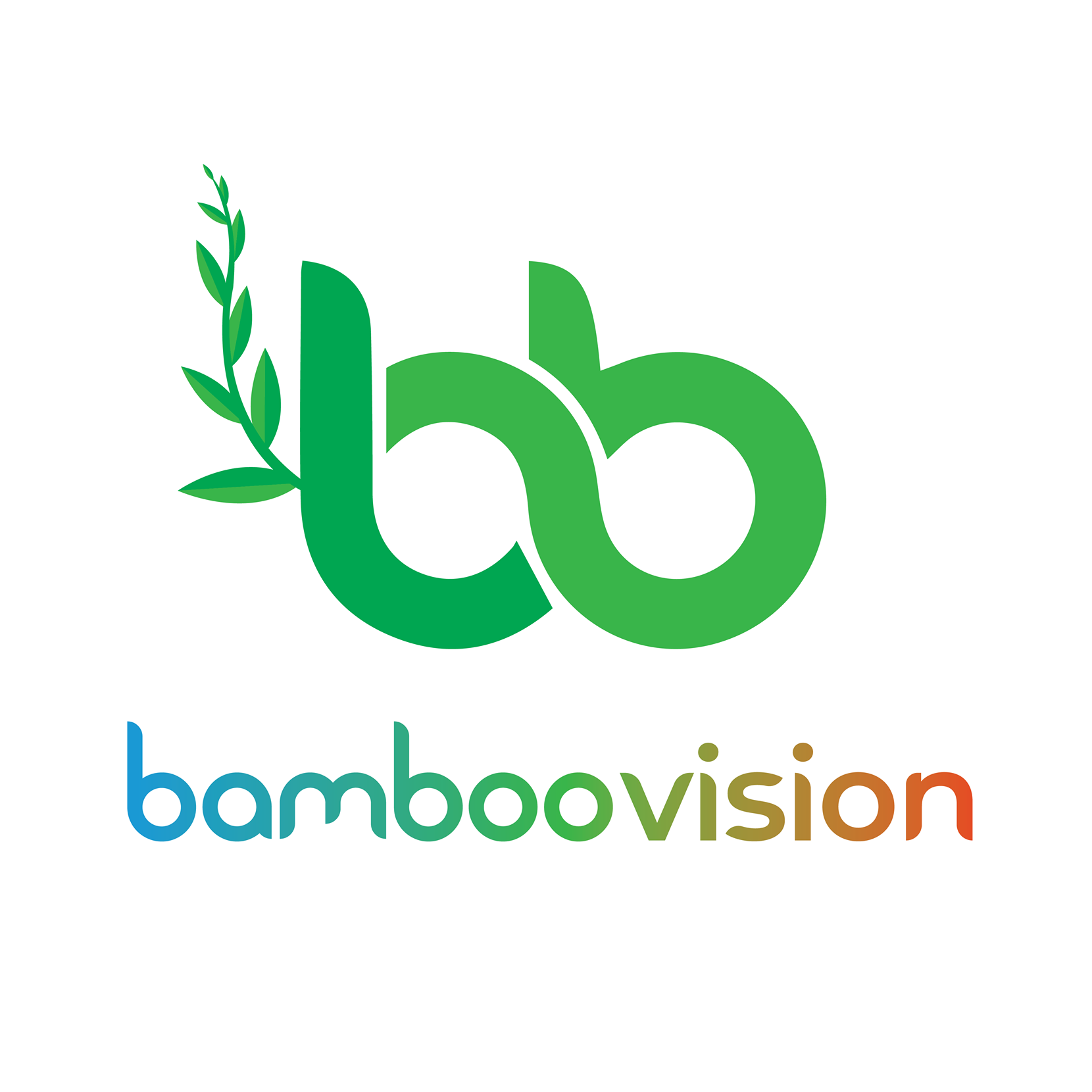 Bamboo Vision