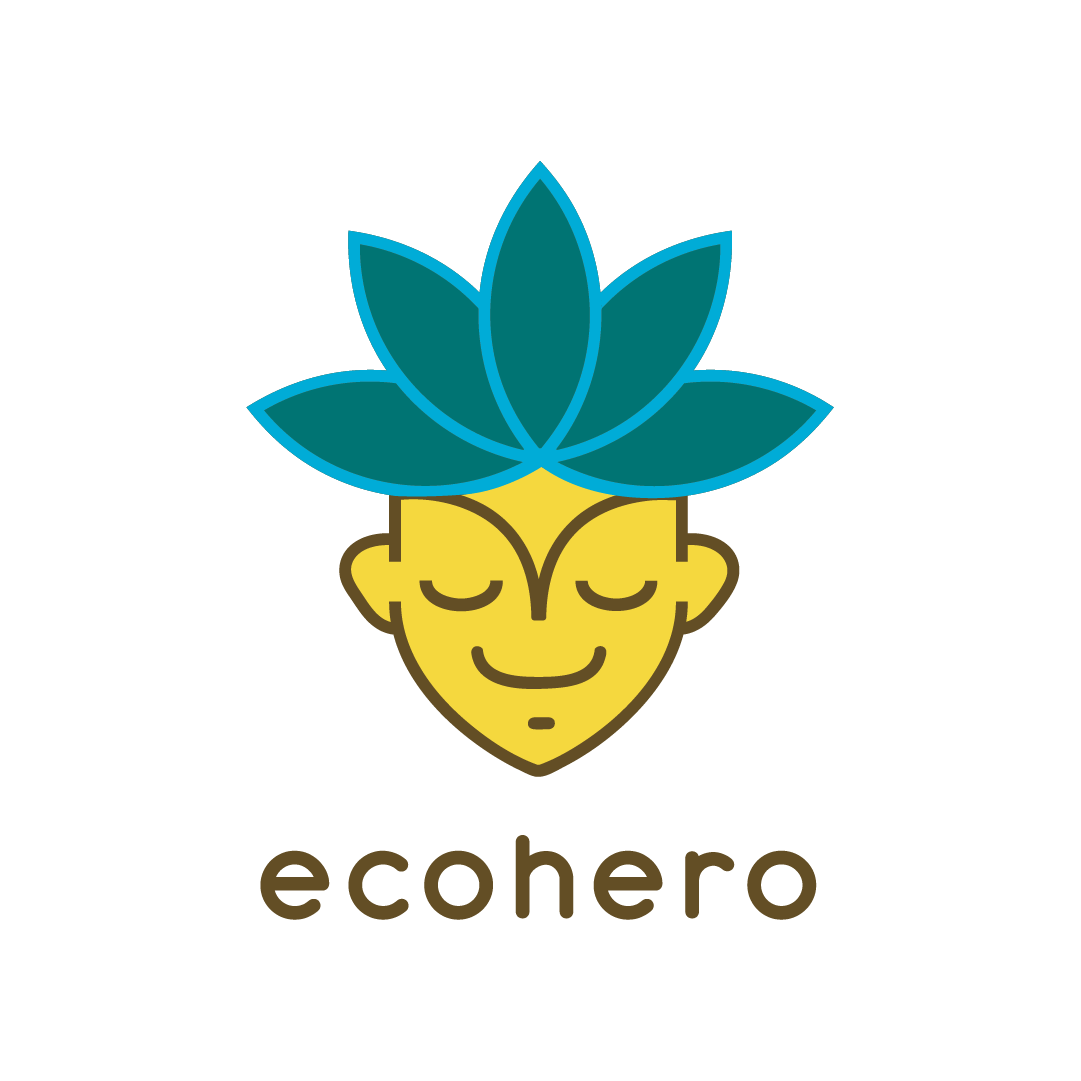 Eco Hero World