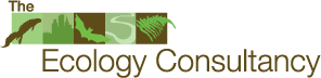 The Ecology Consultancy