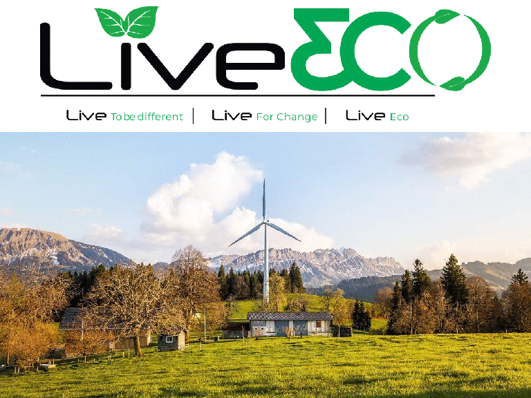 Live3co_ Is a sustainable collection -compressed.pdf