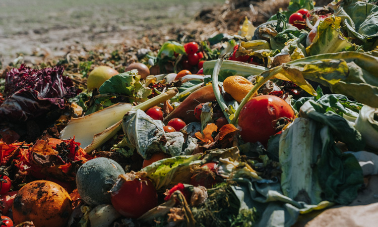 New study finds $3.8 billion in food wastage each year due to faults in the Cold Food Chain