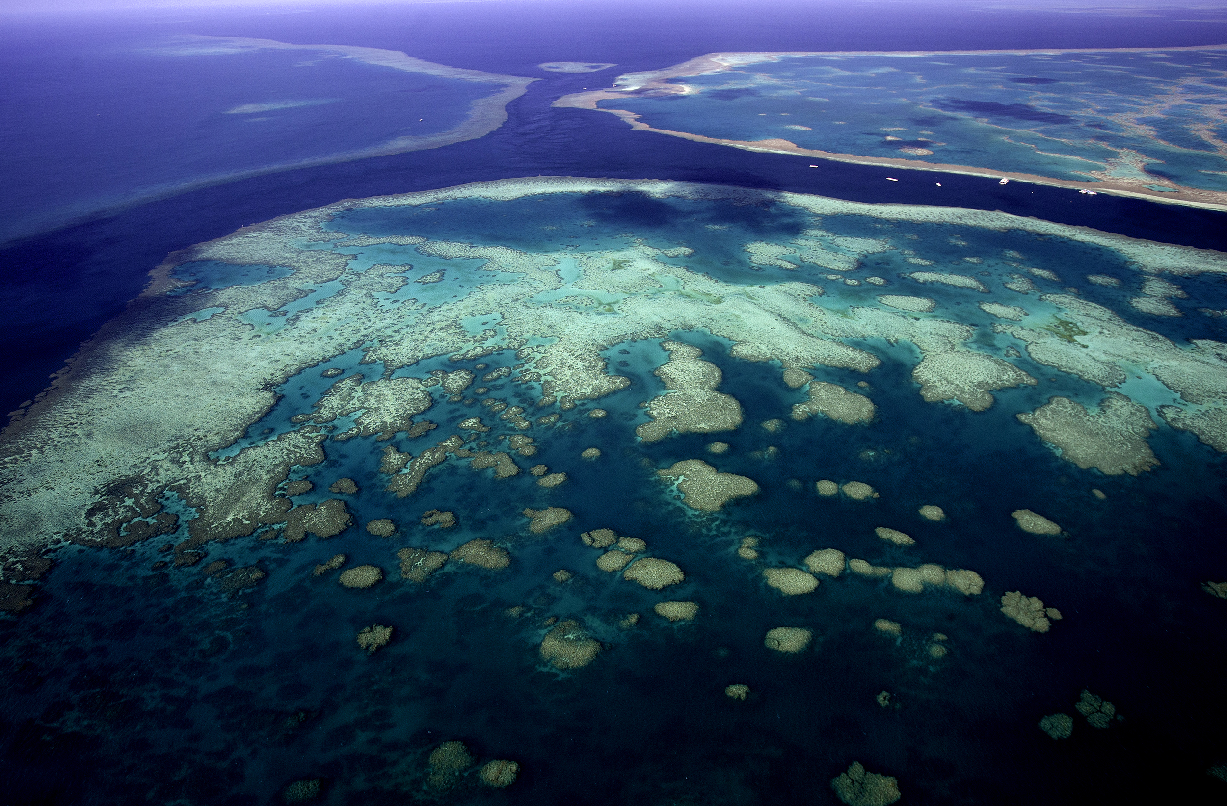 Coral reef taller than the Empire State Building discovered in Australia’s Great Barrier Reef