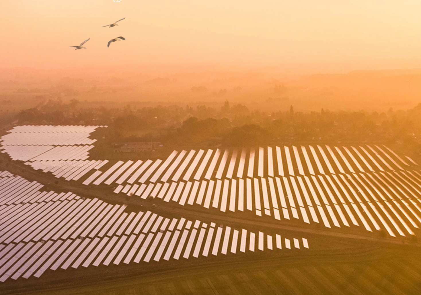 400,000+ Solar Co-Owners In Giant Community Solar Park Initiative In Denmark & Poland