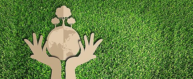 Why businesses should go green