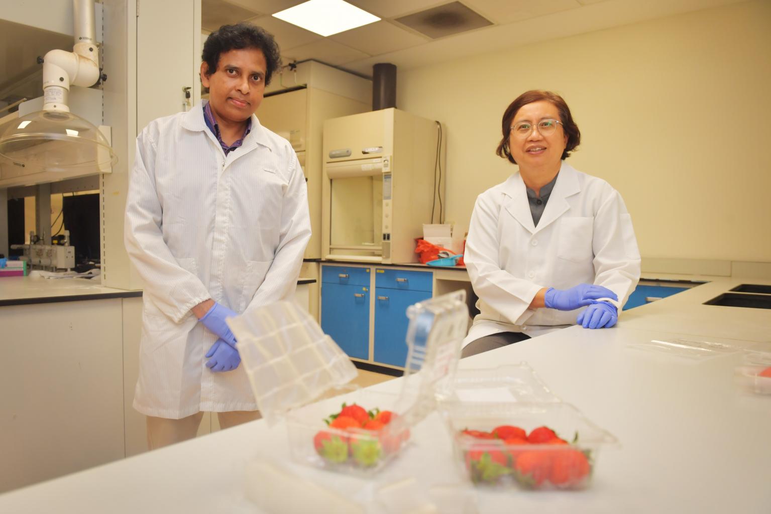 S’pore, US scientists create bacteria-killing, biodegradable food packaging material