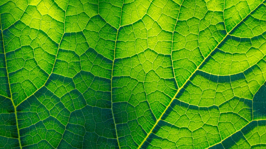Novel “artificial leaf” design ups the carbon capture rate by 100x
