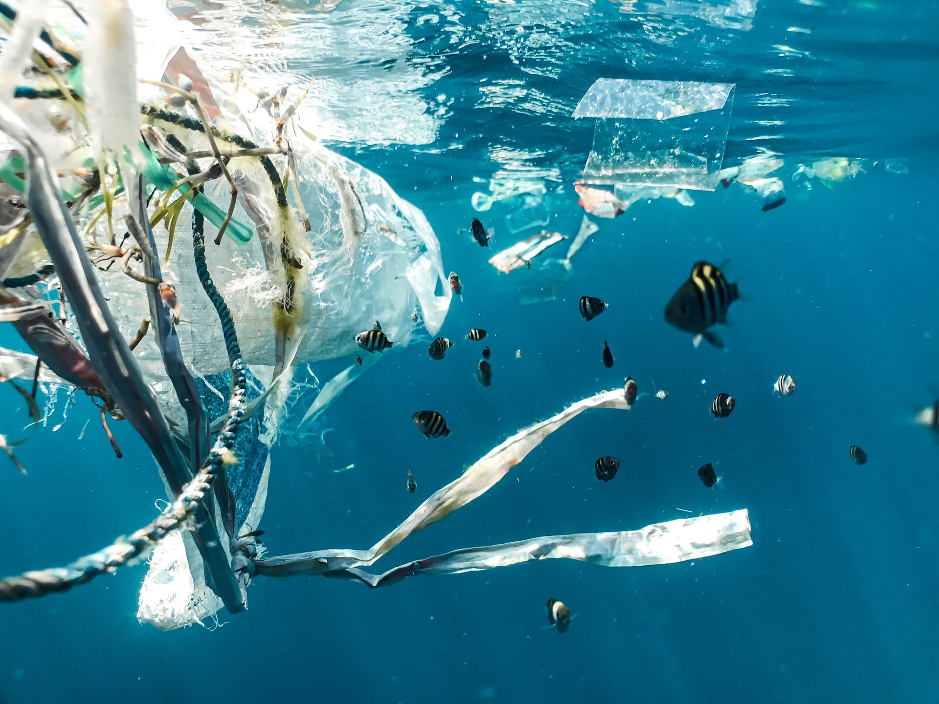 175 countries agree to first-of-its-kind plastic waste treaty