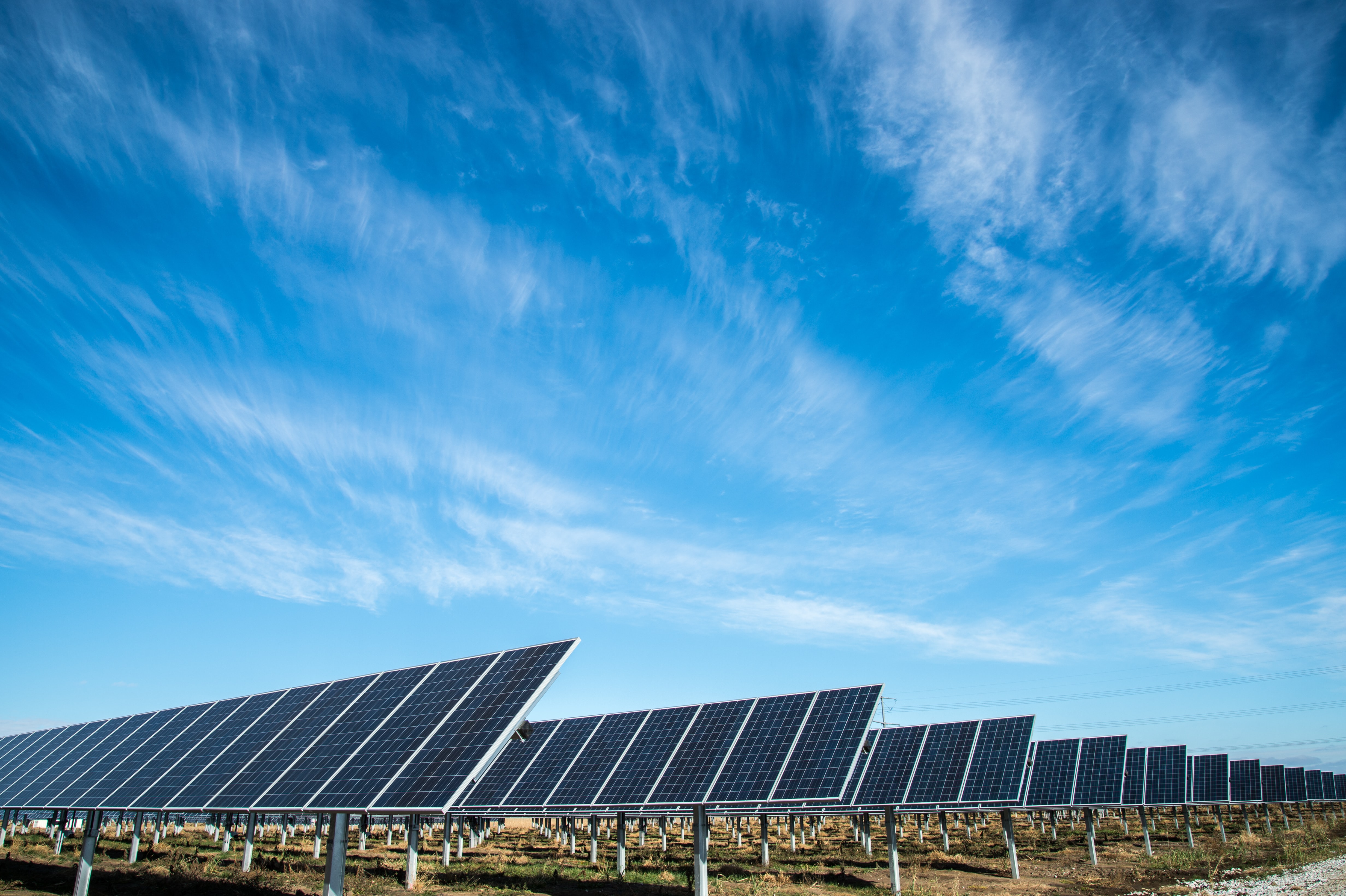 Sri Lanka’s first ever agrivoltaic solar power plant opened